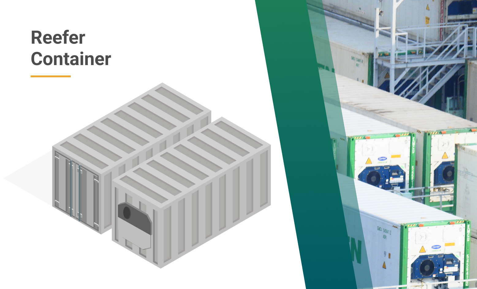 Reefer container: Definition and how it works: Complete guide ’24