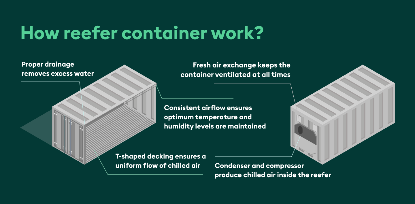 How reefers work